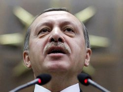 Премьер Турции видит свою страну спасителем "коматозной" и "застойной" Европы