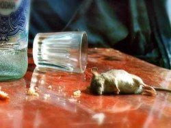 Полиция Литвы подобрала человека с рекордной смертельной дозой алкоголя в крови