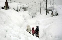 Снегопады в Японии убили 80 человек 