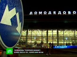 Число жертв теракта в "Домодедово" увеличилось до 36