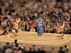В Японии впервые за все послевоенное время отменен чемпионат страны по сумо