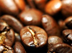 Мировые цены на кофе сорта арабика достигли рекордных показателей