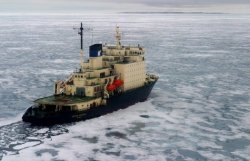 В ледовом плену Финского залива застряли 137 судов