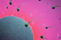 Экология ухудшила качество спермы у финнов, - исследование