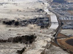 Число жертв цунами в Японии перевалило за тысячу