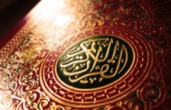 Пастор, сжегший Коран, хочет организовать антиисламский митинг