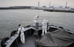 Радиация, попавшая в океан из Фукусимы, вызовет мутации, - ученые