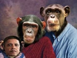 В США республиканка назвала демократа Обаму потомком шимпанзе