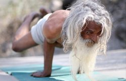 В Индии внесли древние позы йоги в базу данных 