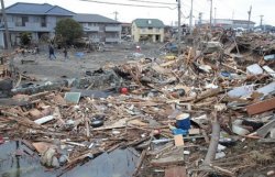 Число жертв стихии в Японии превысило 14,4 тыс. человек 