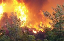 В Швейцарии и Бельгии бушуют сильные лесные пожары 