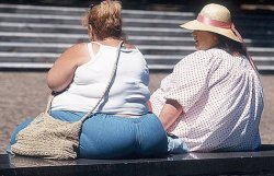 Канадские власти займутся спасением страны от ожирения 