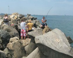 Минэкологии запретило ловить рыбу во всем Азовском море из-за холеры