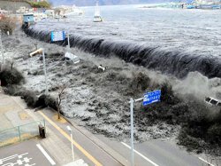 Япония недооценила масштаб цунами, считает МАГАТЭ