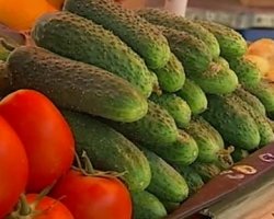 В России запретили ввоз овощей из Евросоюза 