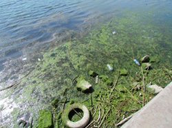 СМИ: причина холеры в Мариуполе - канализационные стоки