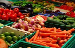 Овощная паника: Огурцы в Польше продают по 1 гривне за килограмм 