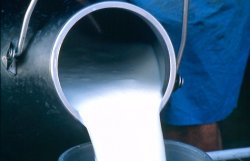 В Украине падает производство молока 