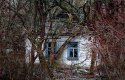 Чернобыль откроют для туристов максимум через месяц 