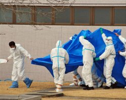 Над реактором "Фукусимы" установили защитную конструкцию