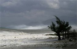 На Шри-Ланке из-за ураганных ветров погибли 7 человек