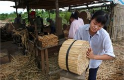 Китайцы отказались от одноразовых палочек для еды ради сохранения леса