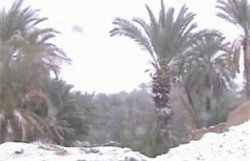 Турцию, Алжир и Марокко завалило снегом