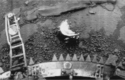 Советские зонды сфотографировали на Венере живых существ, – ученый