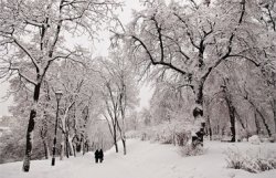 Синоптики: К концу недели температура на востоке Украины упадет до минус 27