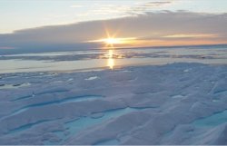 Ученые: Арктика ставит рекорды по теплу, а Антарктида - по количеству льда