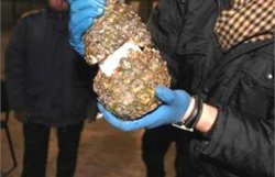 В Украине задержали партию ананасов, наполненных кокаином