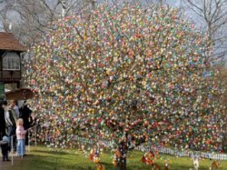Немецкий пенсионер украсил дерево десятью тысячами пасхальных яиц