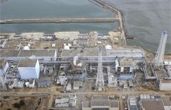 У побережья США обнаружили радиацию с Фукусимы