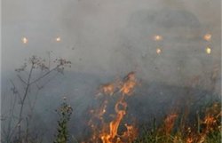 Лесной пожар в Испании: более 1700 человек эвакуированы