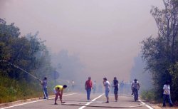Большая часть сильных лесных пожаров в Хорватии погашена или локализована