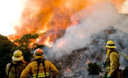 В США бушуют более 80 лесных и степных пожаров