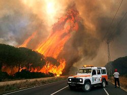 В Испании подсчитали, что пожары в этом году уничтожили в стране почти 140 тысяч гектаров леса