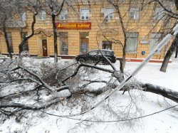 В ближайшие дни в Москве ждут ледяной дождь
