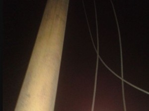 Неизвестные ночью срезали фонари между резиденцией губернатора и Заксобранием