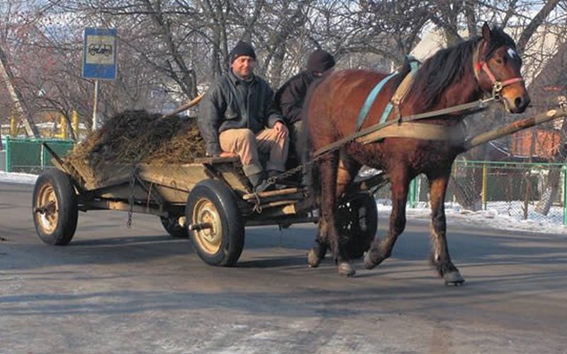 В Брянске цыган не довез до дома краденые паласы