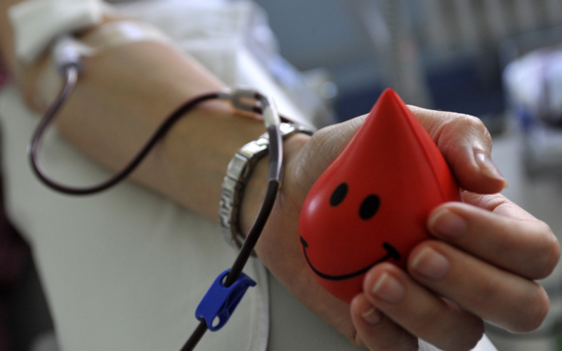Спаси жизнь: брянцев зовут на две донорские акции