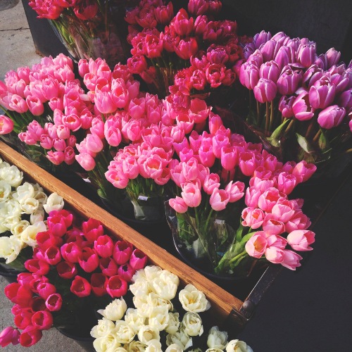 В Брянской области активно развивается цветочный бизнес