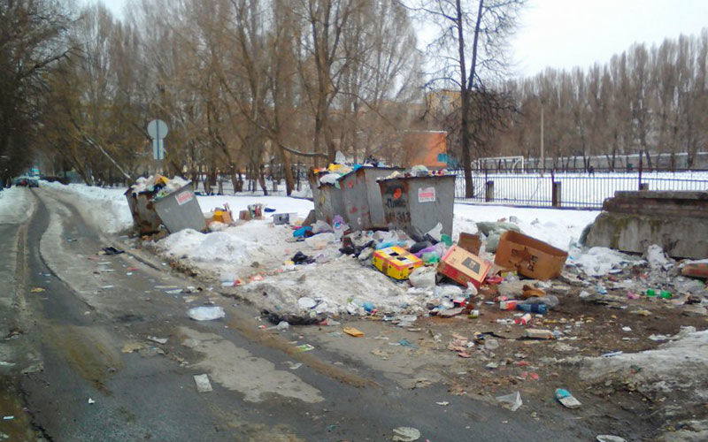 В Брянске бьют тревогу из-за крыс рядом со школой и детсадом