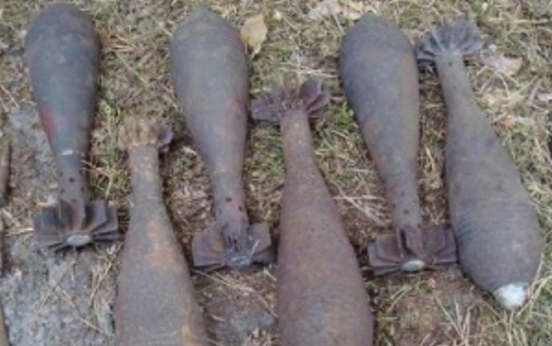 В Фокино нашли и обезвредили семь старых мин