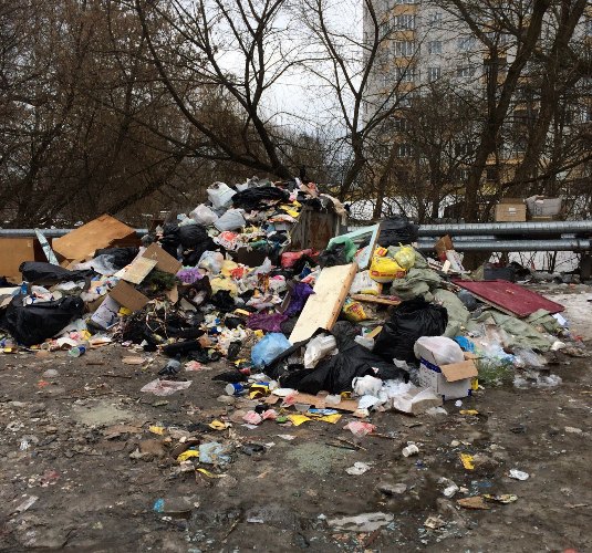 Центр Брянска завален мусором и помоями
