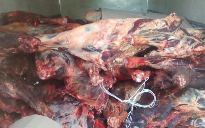 В Брянской области остановили восемь тонн сомнительного мяса