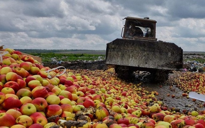 Более 20 тонн яблок зарыли в землю под Новозыбковом