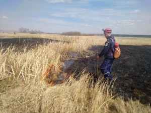 Сосновский район – самый пожароопасный в области