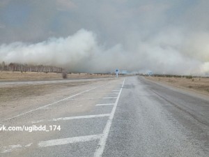 Лес горит на протяжении 80 километров вдоль трассы Южноуральск-Магнитогорск