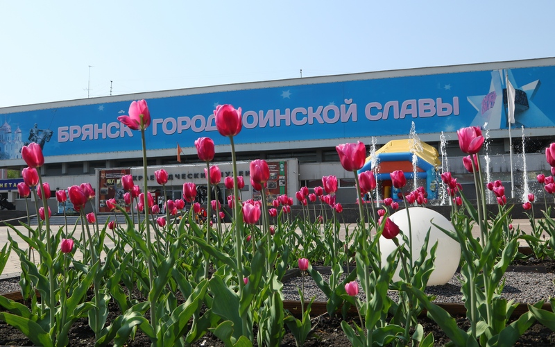 Цветы и голуби: Брянск готовится ко Дню Победы